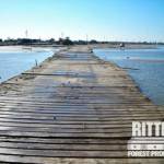 Hurricane Ike Recovery
