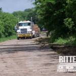 Pipeline Crude Oil Leak