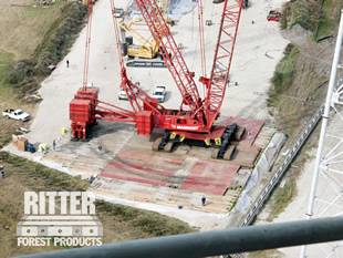 Looking down at crane from the top