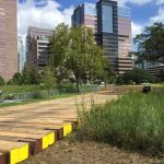 Timber Crane and Construction Mats